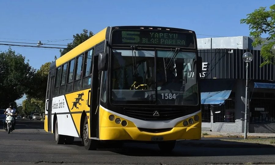 Los Colectivos Funcionar N Con Normalidad Esta Semana En La Ciudad De